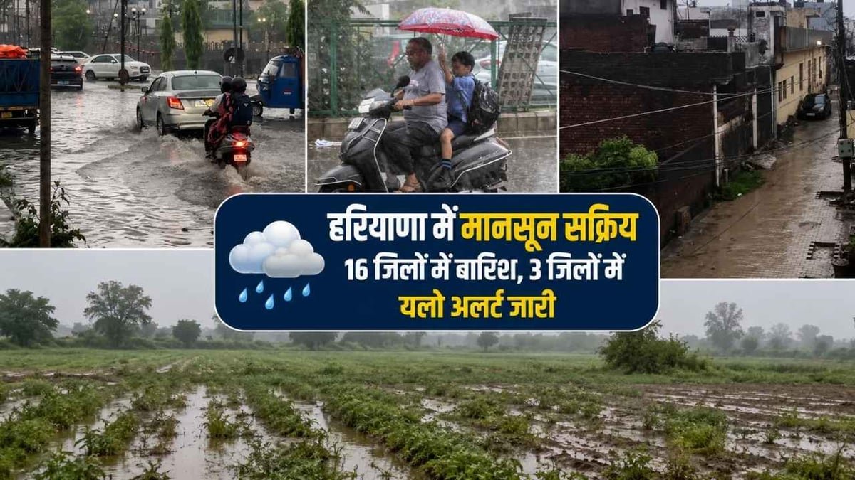 Haryana Weather Update: 16 जिलों में बारिश, आज अंबाला-करनाल समेत इन जिलों में यलो अलर्ट