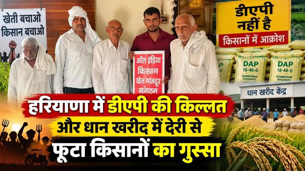 हरियाणा में डीएपी की किल्लत और धान खरीद में देरी से फूटा किसानों का गुस्सा
