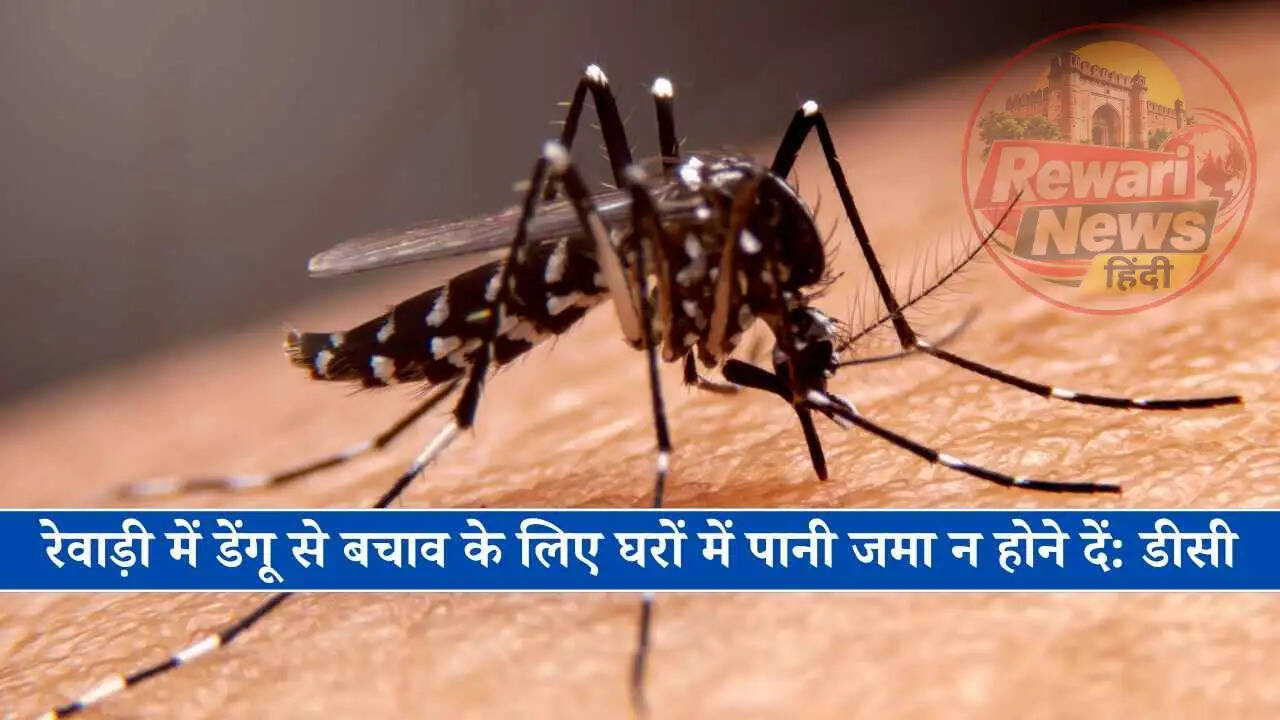 रेवाड़ी में डेंगू से बचाव के लिए घरों में पानी जमा न होने दें: डीसी
