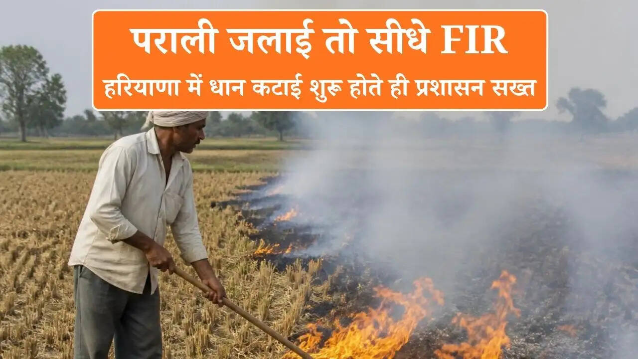 पराली जलाई तो सीधे FIR: हरियाणा में धान कटाई शुरू होते ही प्रशासन सख्त