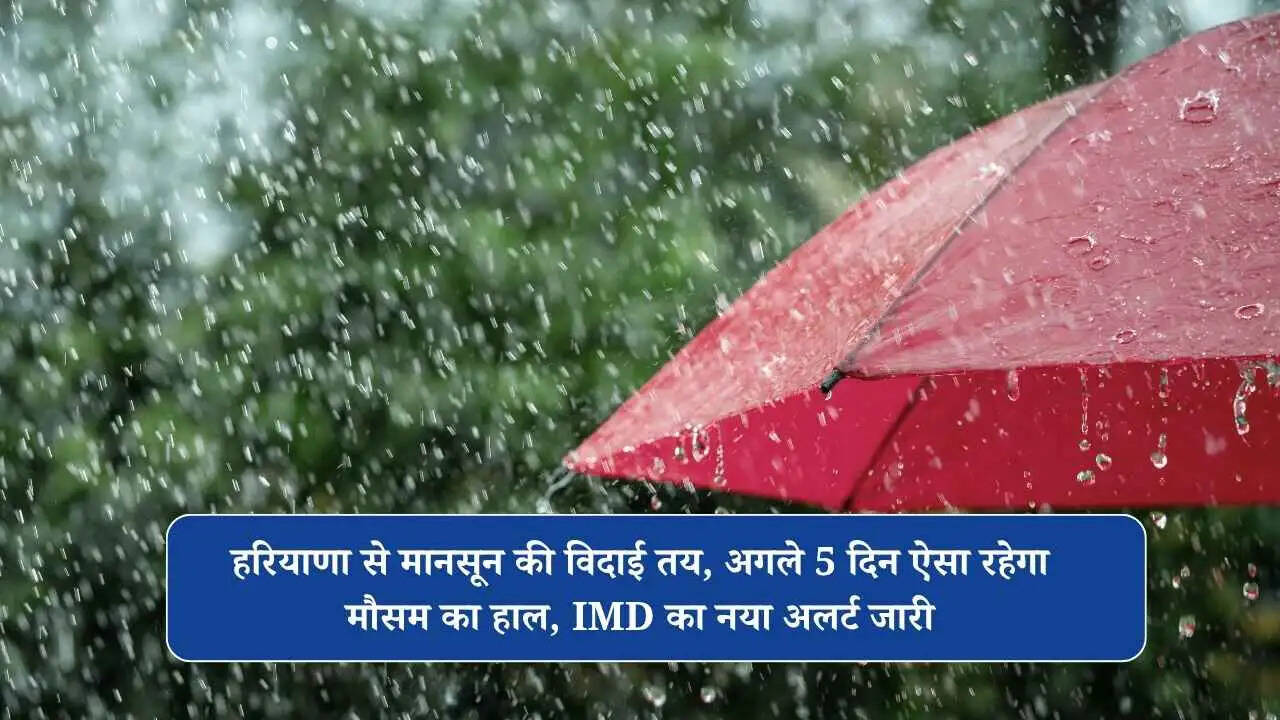 हरियाणा से मानसून की विदाई तय, अगले 5 दिन ऐसा रहेगा मौसम का हाल, IMD का नया अलर्ट जारी