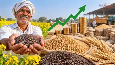 Haryana News: हरियाणा के किसानों को MSP का तोहफा, सरसों-गेहूं के भाव में तगड़ा उछाल