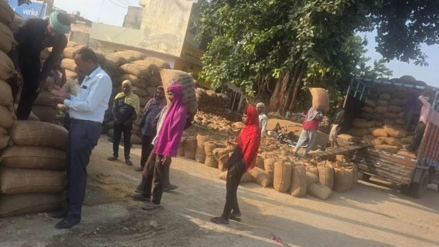 Haryana News: मौसम के बदले मिजाज के बीच ग्राउंड पर उतरा प्रशासन, कैथल ने धान उठान में बनाया नया रिकॉर्ड