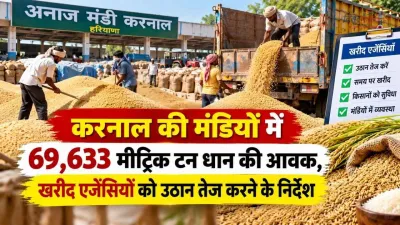 करनाल की मंडियों में 69,633 मीट्रिक टन धान की आवक, खरीद एजेंसियों को उठान के निर्देश