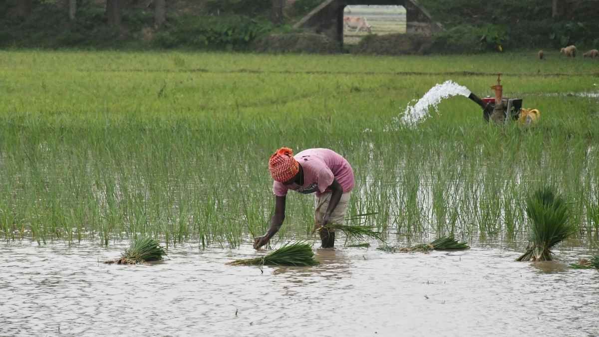 बिहार के किसानों की बल्ले-बल्ले! अब सिर्फ 7 दिनों में मिलेगा मुफ्त बिजली कनेक्शन, डीजल के महंगे खर्च से मिलेगी आज़ादी