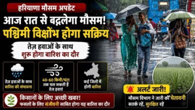 Haryana Weather Update