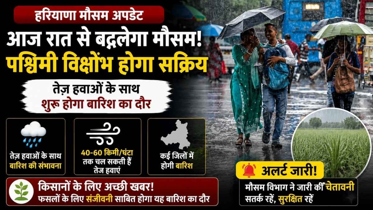 Haryana Weather Update