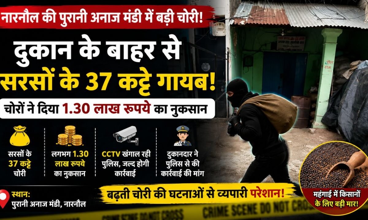 नारनौल की पुरानी अनाज मंडी से सरसों के 37 कट्टे चोरी, 1.30 लाख का नुकसान