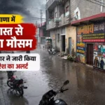 हरियाणा में 2 अगस्त से बदलेगा मौसम: HAU हिसार ने जारी किया भारी बारिश का अलर्ट